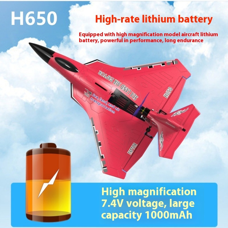 Rc Wing Glider - H650 Big Size Rc Plane Water