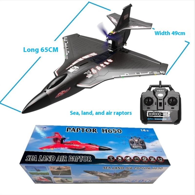 H650 Big Size Rc Plane Water P - Rc Wing Glider ulasan dan harga